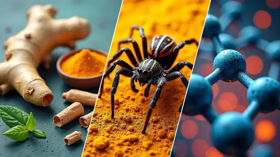 Alternative Approaches to Spider Venom Benefits