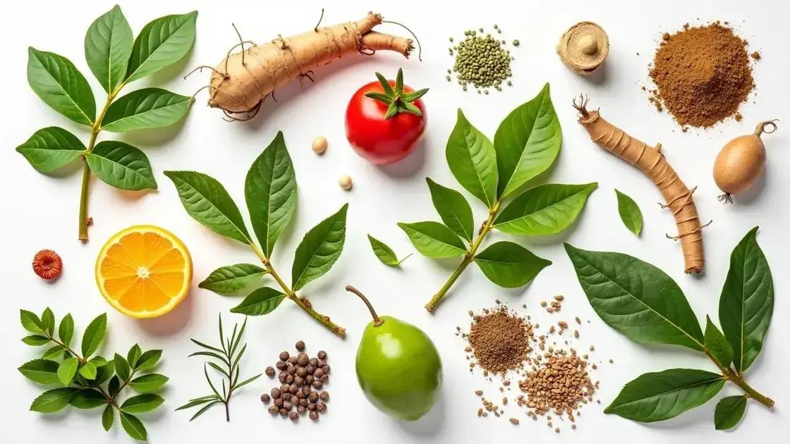 Benefits of Adaptogenic Ingredients