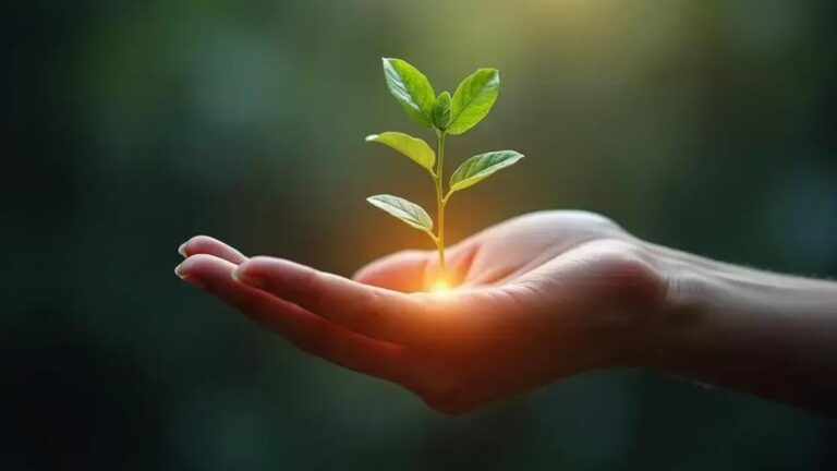Does Plant Herbivirillis Really Improve Blood Circulation?