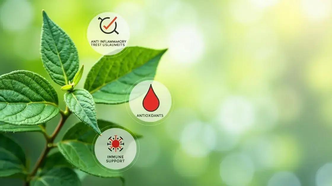 Health Benefits of Plant Herbivirillis