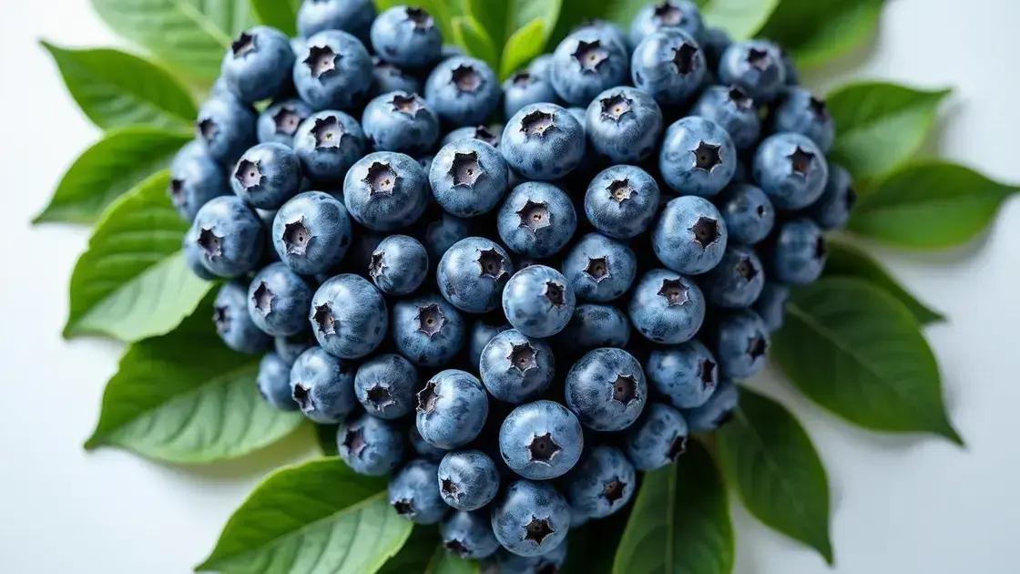 Heart Health Benefits of Blueberries