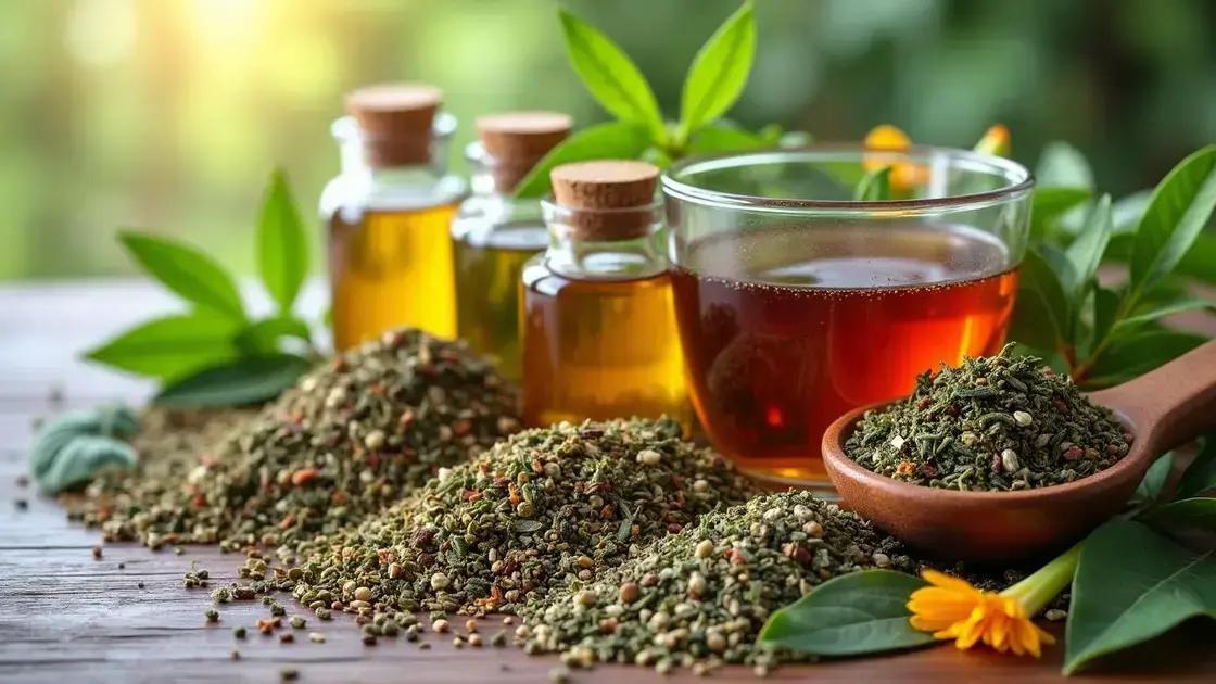 Herbal Remedies Explained