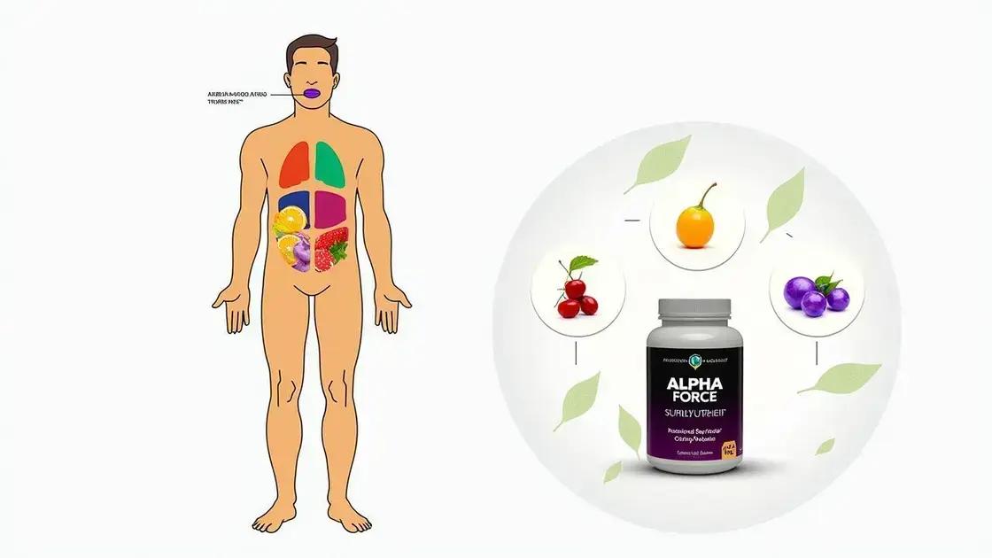 How Alpha Force Works in the Body