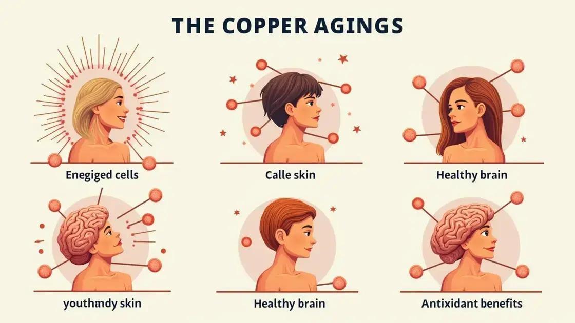 How Copper Impacts Aging