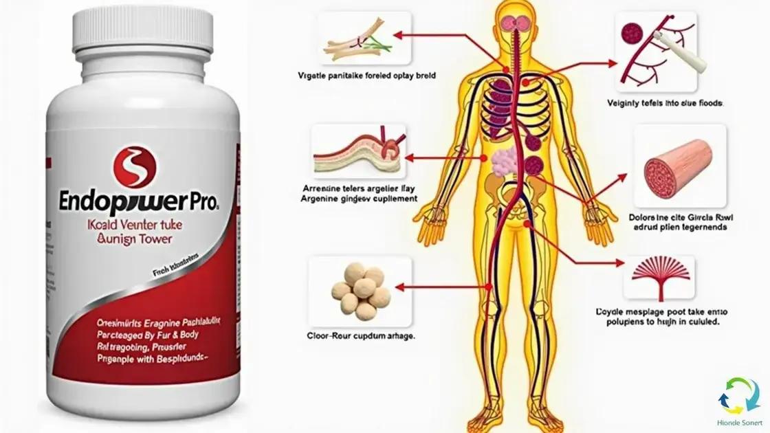 How Endopower Pro Works to Boost Circulation
