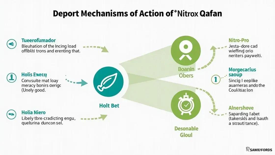 How Nitrox Pro Works