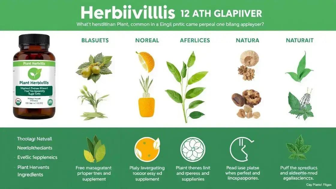 How Plant Herbivirillis Stacks Against Other ED Supplements
