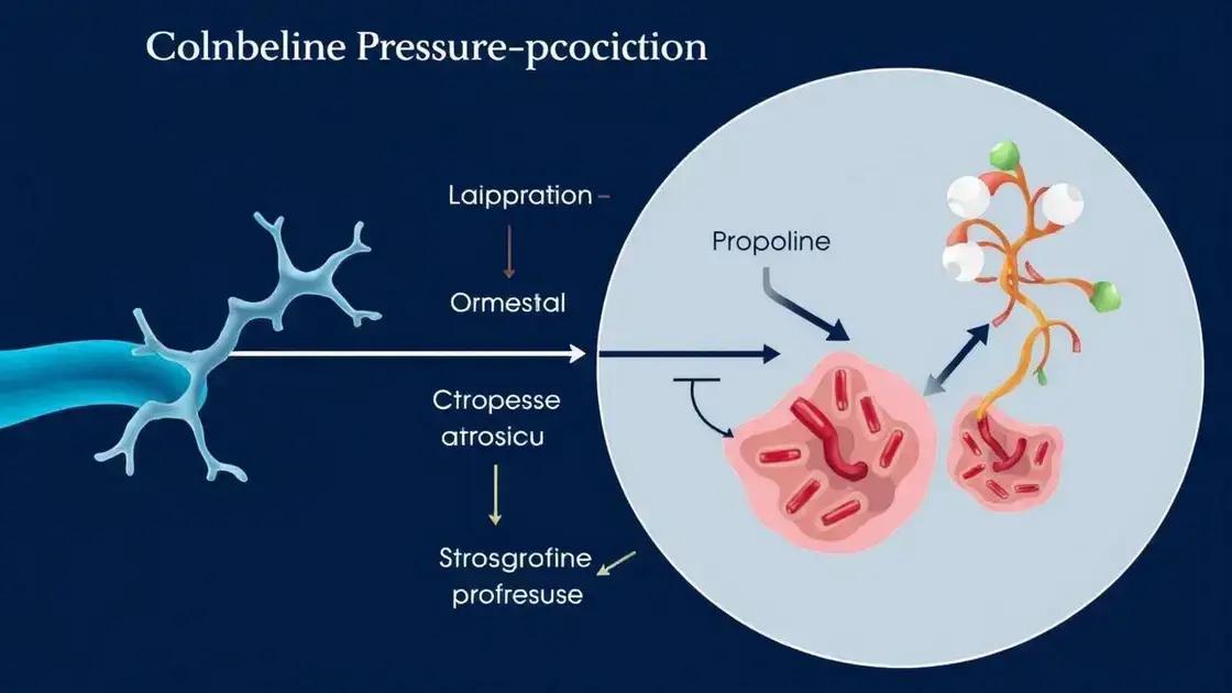 How Proline Affects Collagen Production