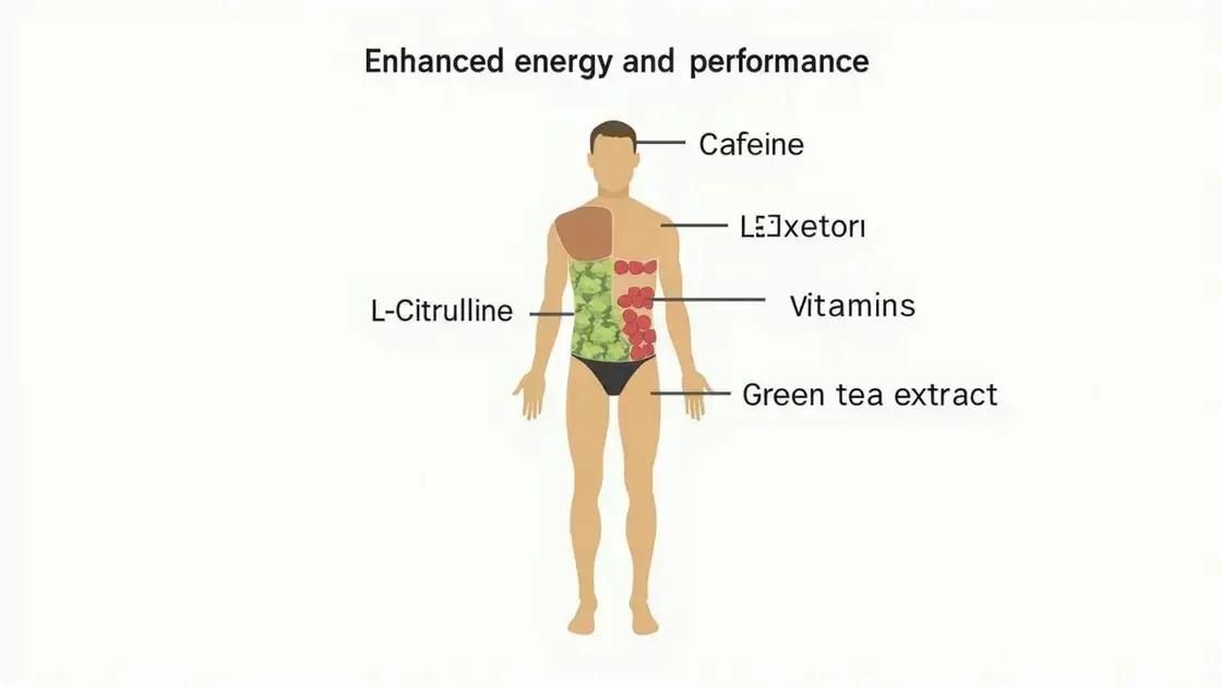 How Prolong Power Works in the Body