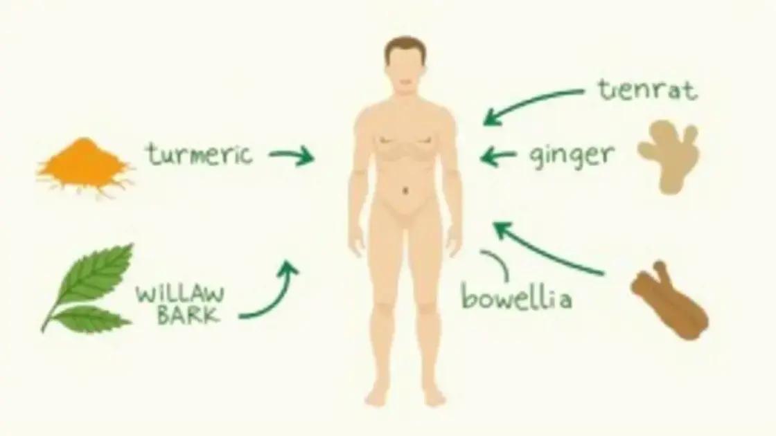 How These Remedies Support Joint Health
