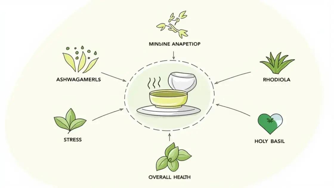 Introduction to Adaptogenic Herbs