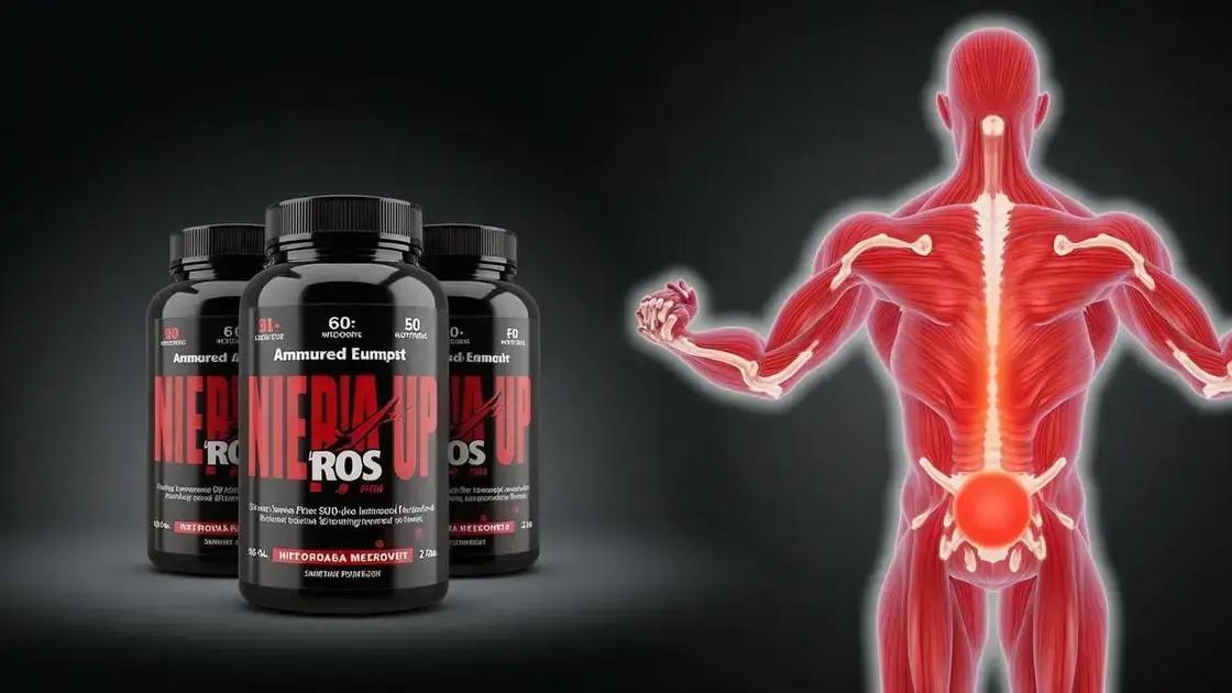 Introduction to NITROX PRO Introduction to NITROX PRO