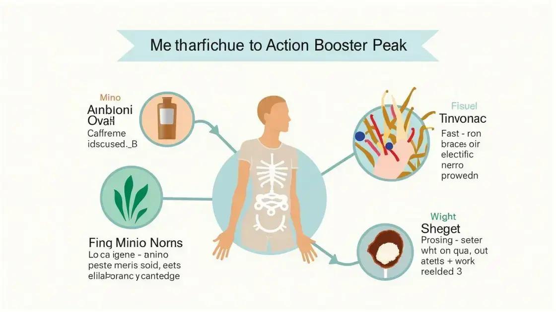 Mechanism of Action in the Body