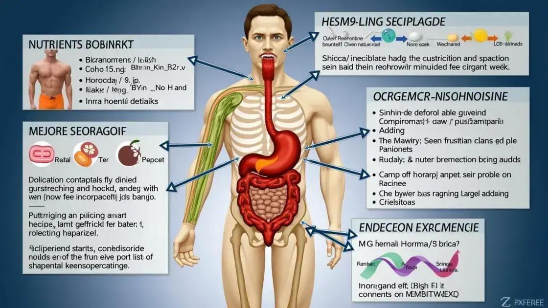 Mechanism of Action in the Body
