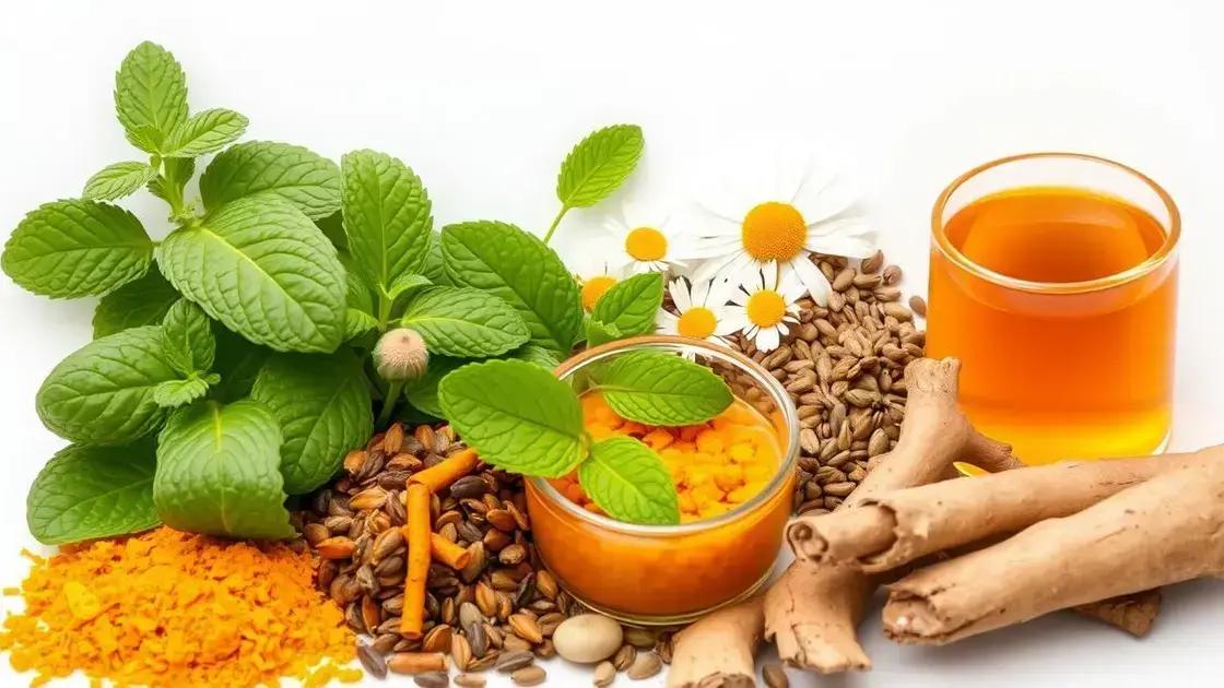 Other Herbal Remedies for Digestive Health