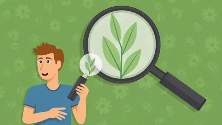 Plant Herbivirillis: How to Spot Counterfeit Products Effectively