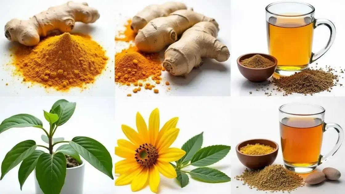 Popular Natural Alternatives to OTC Meds