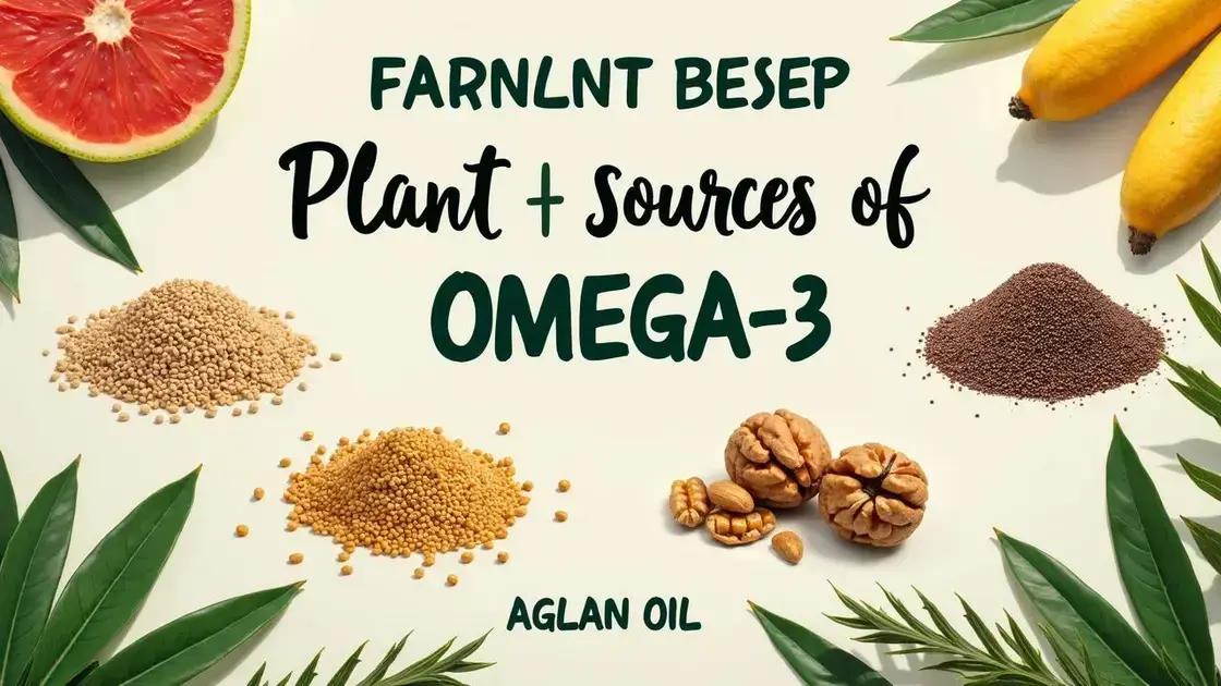 Popular Plant-Based Sources of Omega-3