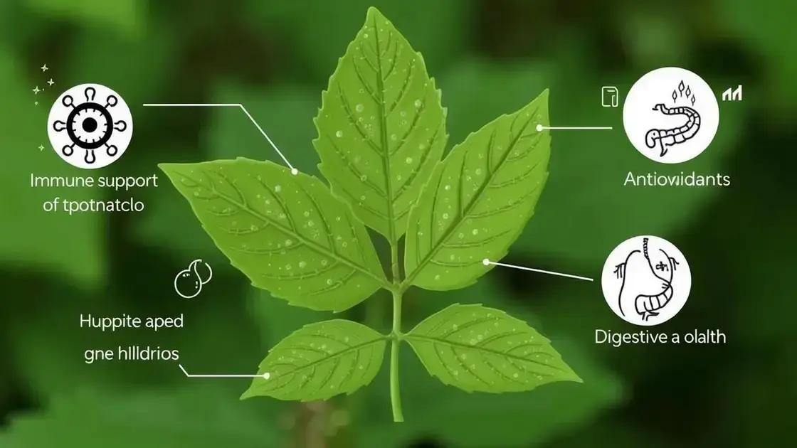 Potential Benefits of Using Herbivirillis