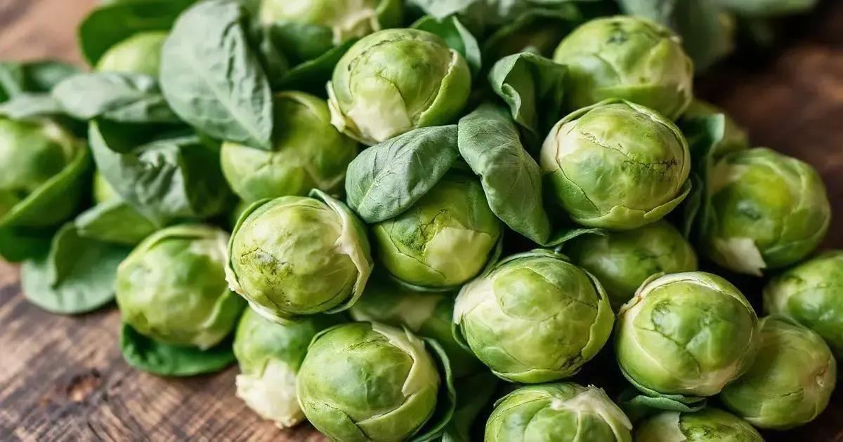 The Health Benefits of Brussels Sprouts