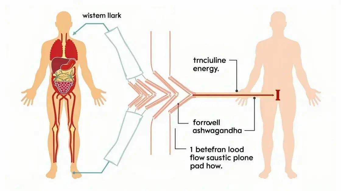 The Mechanism of Action in the Human Body