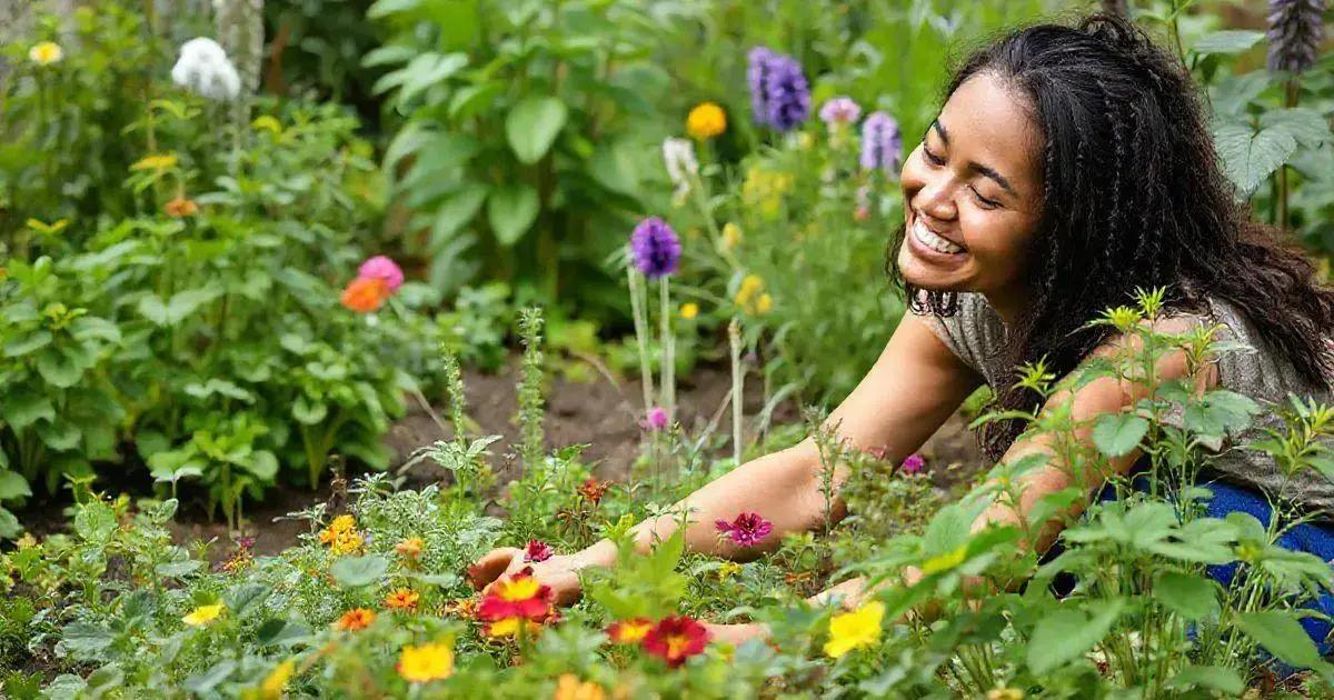 The Mental Health Benefits of Growing Plants
