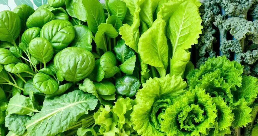 The Role of Leafy Greens in Combating Oxidative Stress