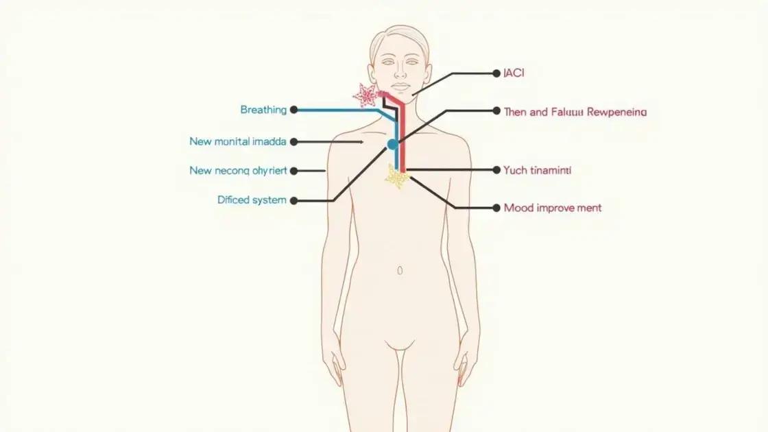 The Science Behind Breathing Techniques