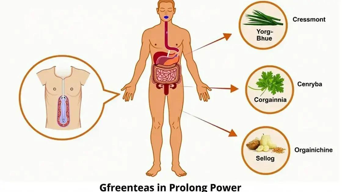 The Science Behind Erectile Dysfunction and Prolong Power