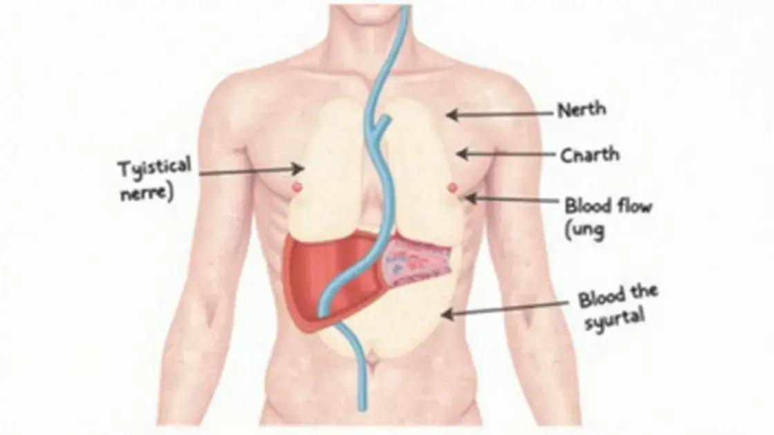 The Science Behind Erectile Dysfunction