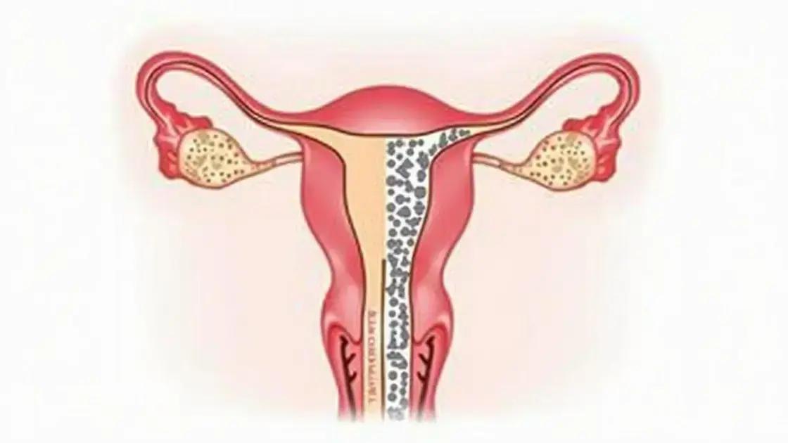 The Science Behind Erection Quality