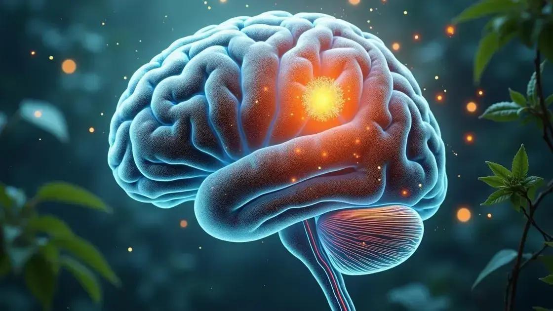 The Science Behind Mental Clarity