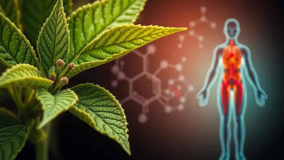 The Science Behind Plant Herbivirillis