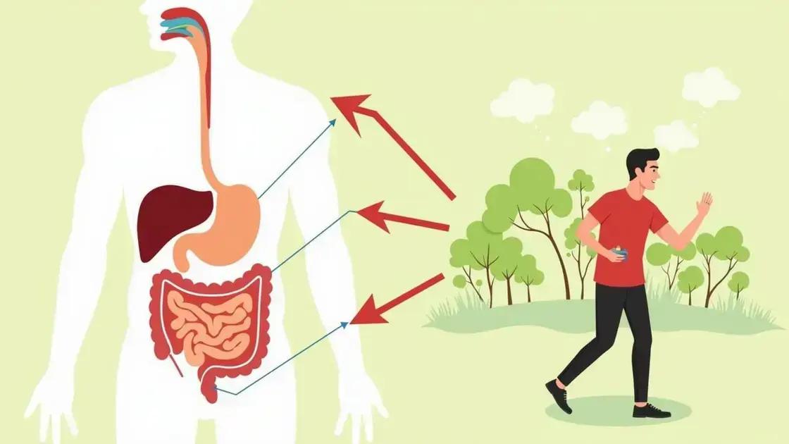 The Science Behind Walking and Digestion