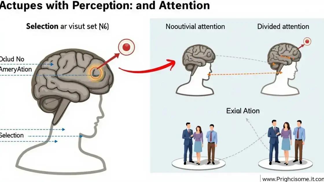 The Science of Perception and Attention