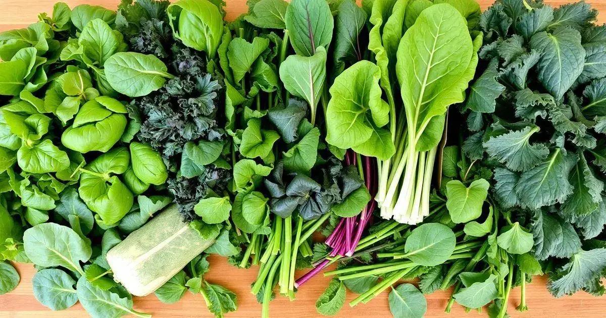 Top Leafy Greens to Include in Your Diet