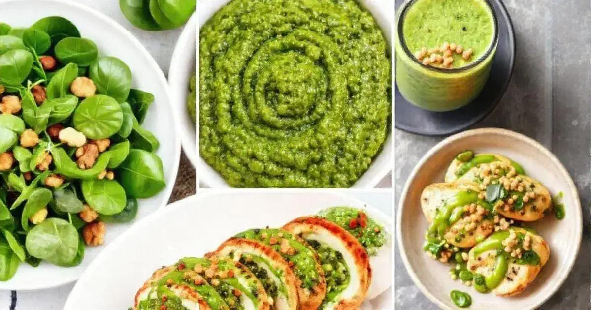 Top Spinach and Walnut Recipes