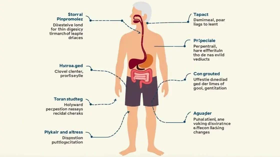 Understanding Aging and Digestion