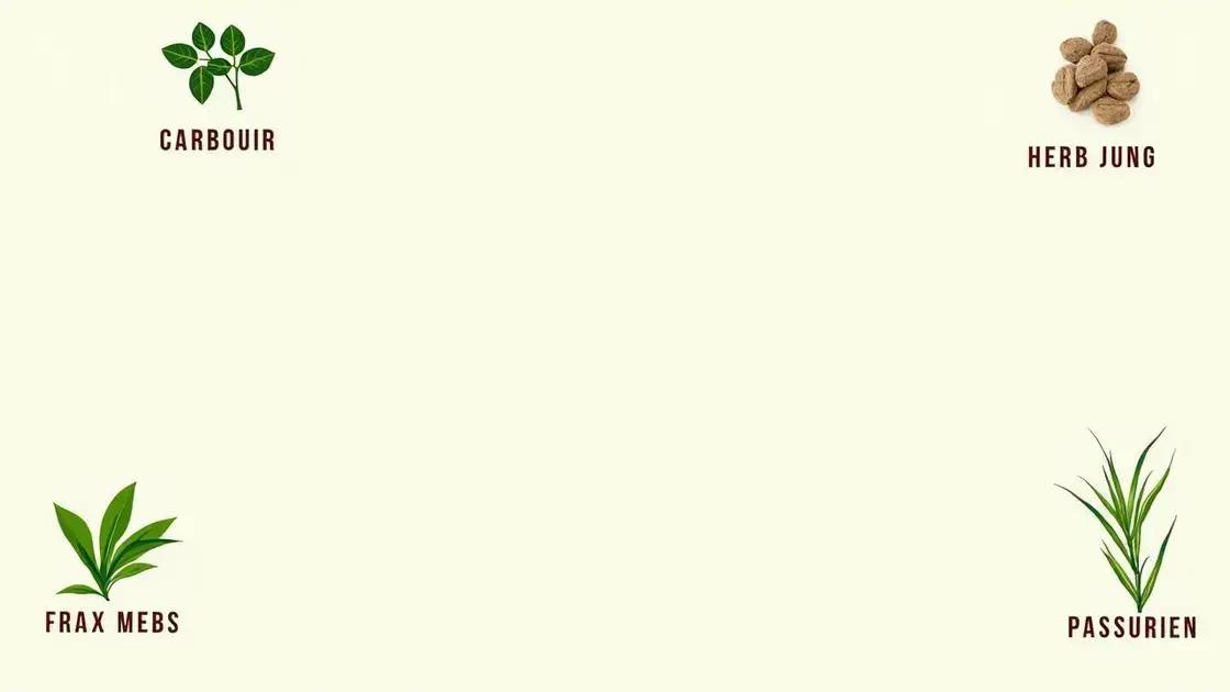 Understanding Ancient Indian Remedies