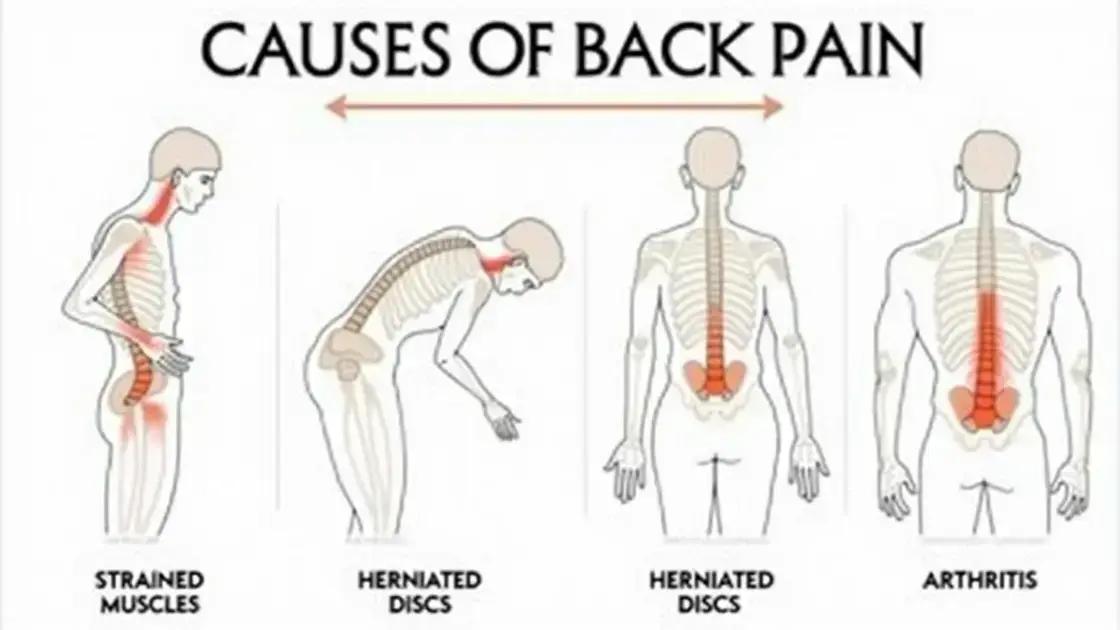 Understanding Back Pain and Its Causes