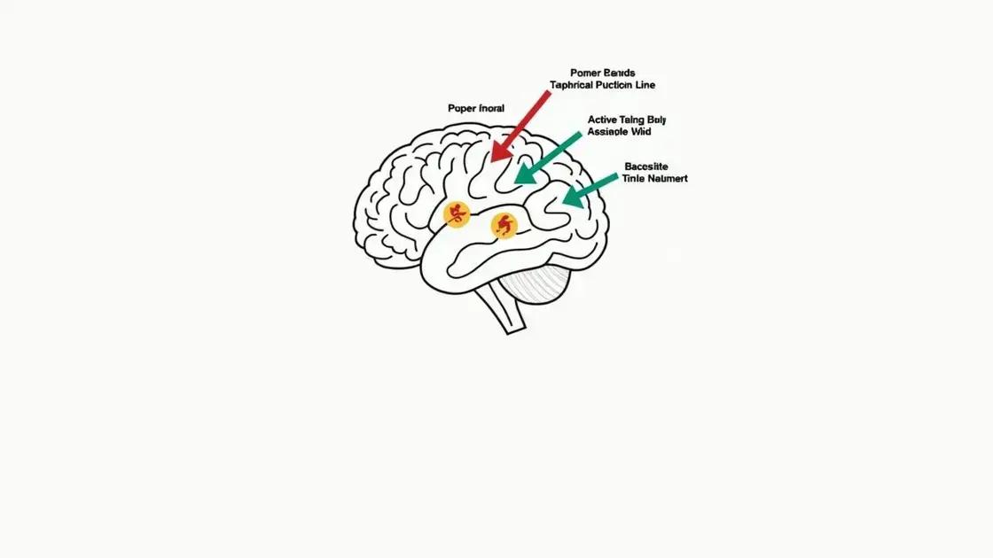 Understanding Cognitive Decline