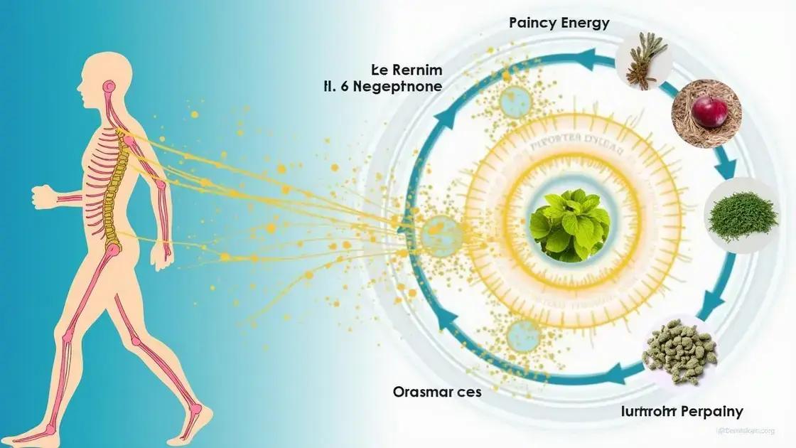 Understanding Endopower Pro