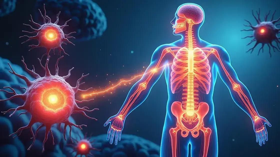 Understanding Erec Power in the Human Body
