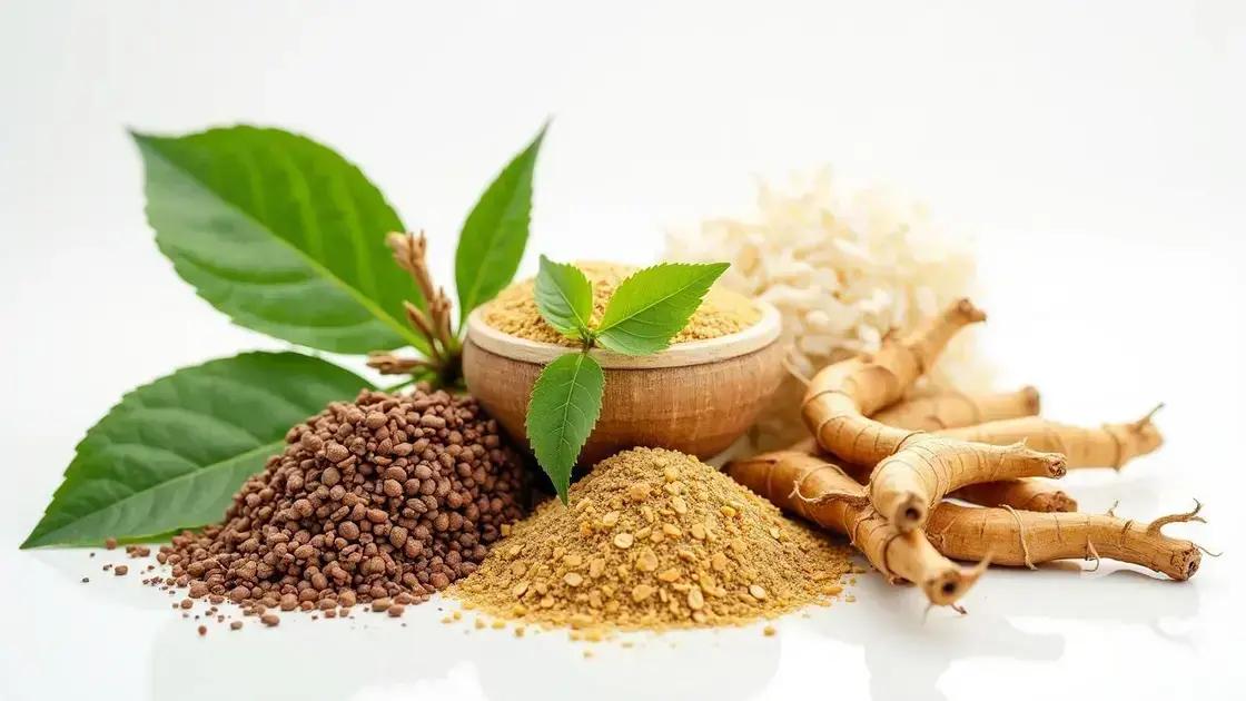 Understanding Erettus and Its Ingredients