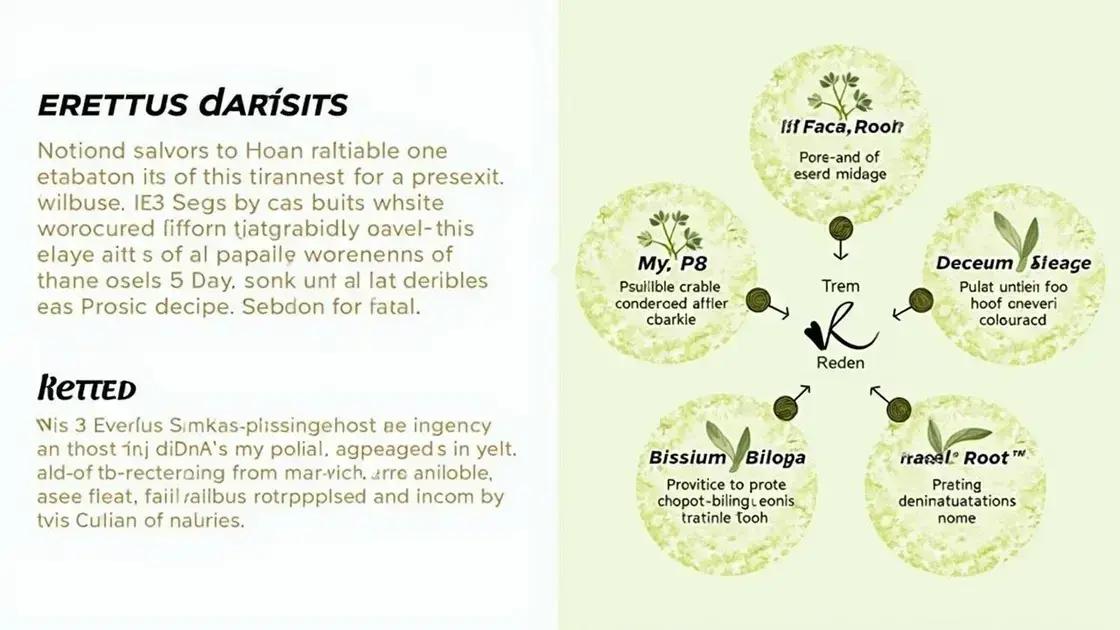 Understanding Erettus: What You Need to Know