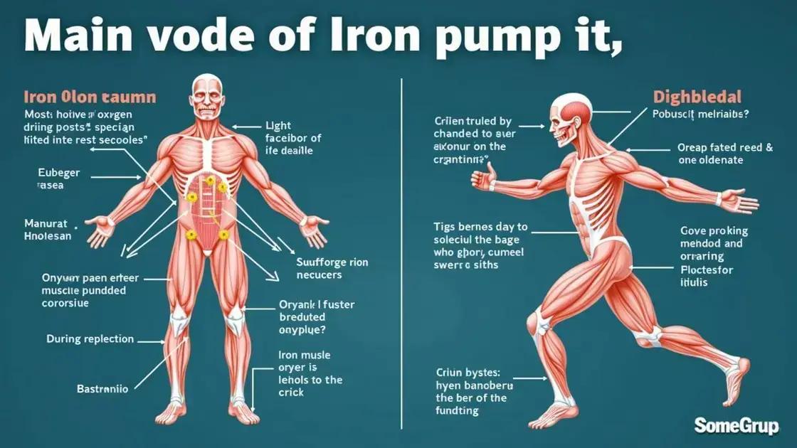 Understanding Iron Pump
