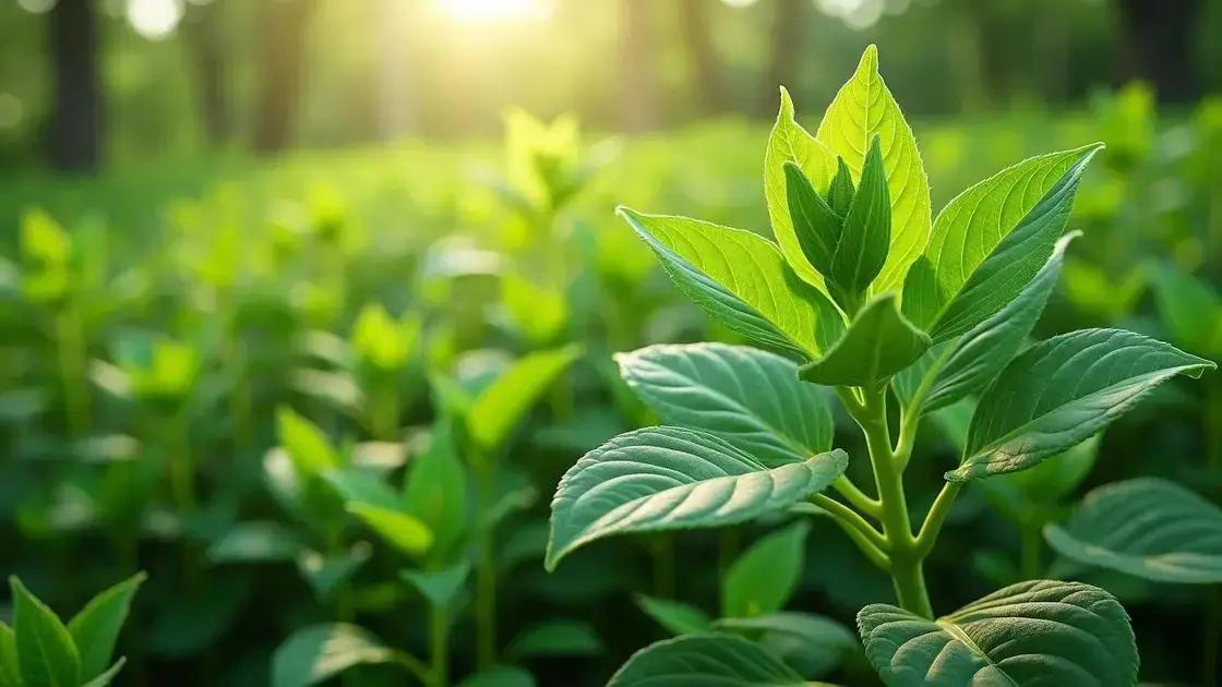 Understanding Plant Herbivirillis