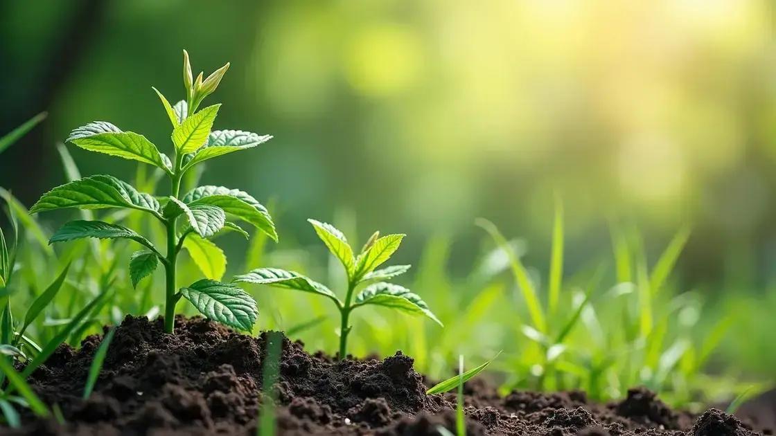 Understanding Plant Herbivirillis