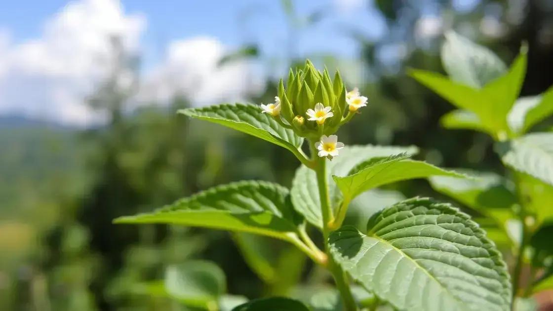 Understanding Plant Herbivirillis