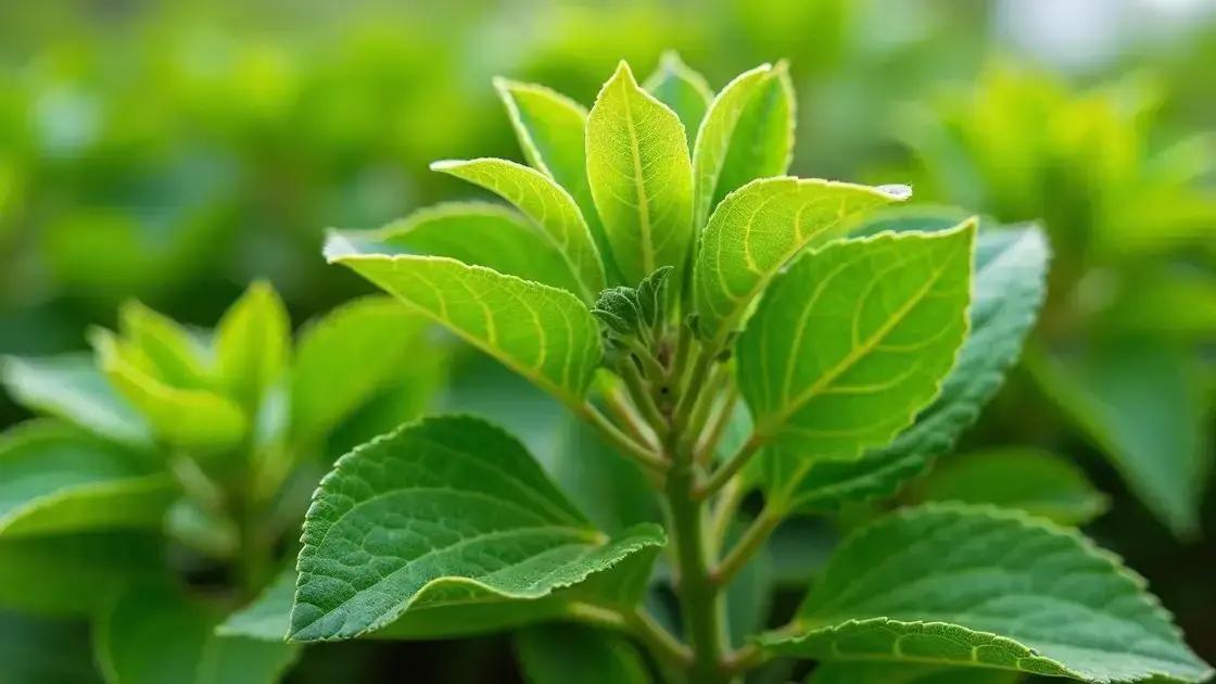 Understanding Plant Herbivirillis